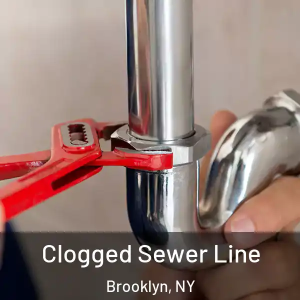  Clogged Sewer Line Brooklyn, NY