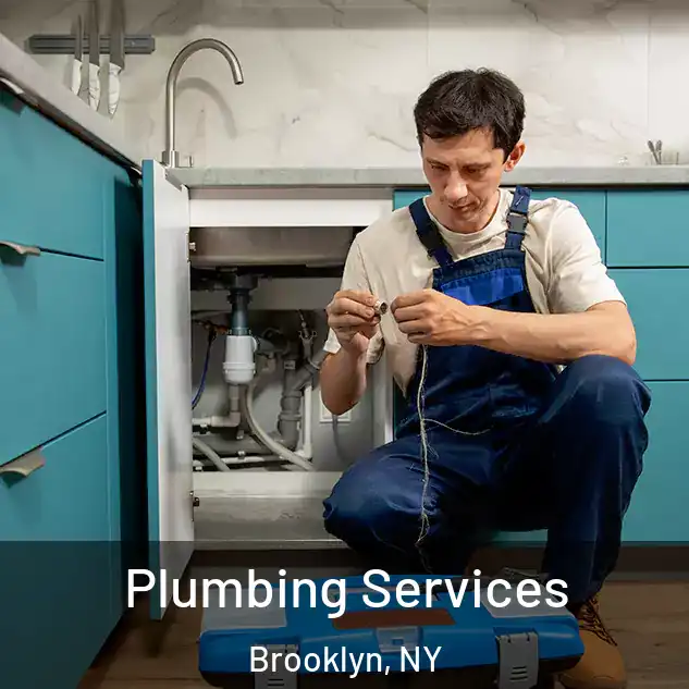 Plumbing Services Brooklyn, NY